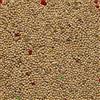Il Contadino - Antichi Becchimi | MISCUGLIO per PAPPAGALLI e COCORITE | Formula Ricca di Semi Selezionati Adatta per Tutto L'Anno, No OGM, 100% Vegetale, Assenza di scarti. qualità Superiore (5 kg)