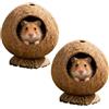 Generic Coconuts Hut - Letto per criceti e criceti naturali per piccoli animali, 13,5 x 11,9 cm, a forma di noce di cocco, con base stabile, per criceti e porcellini d'India (2, kaki)
