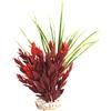Sydeco - Pianta per Acquario Aqua Wild Plant