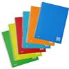 Blasetti One Color PPL - Quaderno a Spirale A4 - Tinta Unita 4M Quadretti 4mm - 6pz | Blasetti: spirale A4, carta 80gr, copertina PPL resistente, fori archiviazione, colori assortiti, conf. da 6.