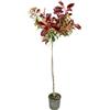 Generico AMDGarden Pianta di Photinia Red Robin Alberello Foglia Rossa h 120cm Vaso 24 Sempreverde per Esterni Coltivata in Sicilia