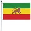 Generic Bandiera Da Giardino Flag Of Ethiopias Robuste Bandiera Doppia Faccia Decorazioni Da Giardino Per Prato Vacanza Estate 3X5 Ft