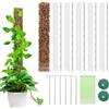 LangRay Supporto Piante Rampicanti, 6 Pezzi Palo per Piante Interno 61 cm, Sostegno Bastone per Piante da Arrampicare Cocco in Plastica Totem Muschio Monstera Palo per Piante Aiuto Giardino