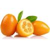 AMDGarden Pianta Albero Kumquat Mandarino Cinese Fortunella Sempreverde per Esterni in Vaso 18cm