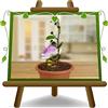 EURO PLANTS VIVAI Capparis Spinosa Cappero Pianta Aromatica Vaso 14 cm