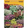 Sementi Dotto Semi di Mix di Fiori per Giardini ROCCIOSI