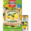 Antika Officina Botanika Prodigio limone più Amalfi, kit completo per piante in vaso ed a terra. Specifico Agrumi, Limone, Arancio, Mandarino, Kumquat ecc. Prodotti ad elevata efficenza