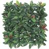 VERDELOOK | Sempreverde® Plast, Siepe Artificiale 1x1 m, Foglia photinia, Decorazioni Giardino
