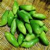 Generic semi di achocha, giardino resistenti perenni da roccioso da giardino, rampicanti resistenti aiuole rialzate 100pcs