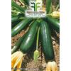 MONDONATURA SRL Semi Zucchino Nero Milano, Mondonatura Srl