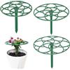 IGTOPS Supporto per piante rampicanti, supporto per piante, supporto per piante, supporto per piante, supporto per finestre, supporto per fiori, supporto per modellare piante verdi, peonie, ortensie (28 cm)