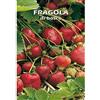 Floriana-Bulbose FRAGOLA di bosco - SEMI