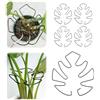 Generic Confezione da 5 supporti per steli per piante, supporto per stabilizzatore Monstera, design unico per piante rampicanti, set di morsetti in bambù a guscio di tartaruga, supporto per piante per una