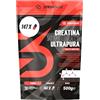 Sprintade® Creatina Monoidrata in Polvere 100% Pura, Vegana, micronizzata, 1 Misurino al Giorno, Creatina in Polvere Micronizzata con Misurino, Pre e PostWorkout, Per Sportivi (500g, 147 Dosi Reali)