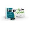 Shedir Pharma Forprost 400 Flogo