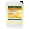 New Chemical MISTRALL LIMONE Detergente Multiuso per la Pulizia del parquet Verniciato, Flacone da 5L.