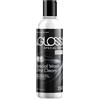 Begloss speciale Wash Vinly 250 ml Gentle - Detergente per vinile, plastica e PVC plastica abbigliamento