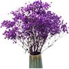TooGet Fiori secchi naturali Babys Breath Bouquet Rami di Gypsophila per la decorazione della casa, matrimonio, decorazione della tavola, corona floreale fai da te, fiori secchi sfusi per vaso