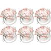 Bormioli Rocco Bormioli Fido 10FL30000227FL10 - Set di 6 barattoli in vetro con chiusura a leva, capacità 500 ml, 0,5 l