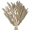 RUGBOL Bouquet di fiori secchi, erba della pampa, boho, fiori secchi, code di coniglio, fiori secchi per vaso, per la casa, la camera da letto e il soggiorno (Stile 5)