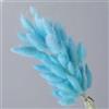 FOSANGPUSHI Fiori secchi a coda di coniglio,100 pezzi 40 cm fiori secchi naturali fiori bianchi grigi vera coda di coniglio erba bouquet composizione di fiori per la casa soggiorno arredamento cielo blu