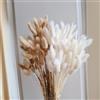 wintfarm 120 pezzi di erba della pampa piccola, 45 cm, fiori secchi, colore naturale e bianco, fiori secchi, perfetti per matrimoni, decorazione della casa, feste, matrimoni, vasi decorativi (colore primario e