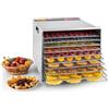 Klarstein Fruit Jerky Pro 10 - apparecchio disidratatore, essiccatore, 1000 Watt, 10 piani, rimovibili singolarmente, Temperatura regolabile, 1,5 m² superficie secca, Timer, argento