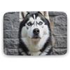 FZMTLDS Husky Dog Area Tappeto grande tappeto in velluto di corallo con retro in gomma antiscivolo per vasche da bagno tappetino elegante tappeto lavabile per sala giochi 50 x 80 cm