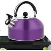 Generisch Pfeife Hed Teiera - Acciaio inossidabile - | Elegante bollitore in metallo per fornelli a induzione, elettrico -Hed - Camping è e lunga durata