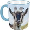 RFSHOP Tazze da caffè in ceramica con capra e cielo blu, confezione da 325 ml