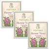 Generic 3x Erbamea - Hennè NERO NATURALE RANG - Busta da 100 gr - Polvere 100% da foglie di Indigofera tinctoria - Pacchetto da 3 buste da 100 gr l'una + in OMAGGIO 2 Tisane Funzionali Viropa