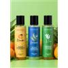 MERAVIGGHIA Tris Shampoo Per Capelli - Mandarino - Fico d'India - Rosmarino - Travel Size 3 x 100ml - Meda in Italy