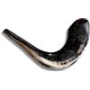 Spring Nahal Corno di ariete originale Kosher completamente lucidato da Israele, strumento musicale ebraico facile da soffiare, prodotto in Israele da Spring Nahal (40,6 - 45,7 cm)