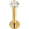 Monster Piercing K 9 Solido Giallo Oro Artiglio Set Piazza CZ Pietra Interno filettato Bar Top 16 Gauge Hollow Labbro Labret Trago Piercing Gioielli