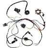 QUIOLE Magneto Statore per 50 80cc 90cc 100cc 110cc Moto ATV Quad Pit Bike Buggy Go Kart Completo Completo Impianto Elettrico Cablaggio CDI STATORE 8 Bobina Bobina Statore