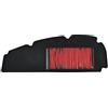 RIDE AND CUSTOM Filtro Area Compatibile con Suzuki Uk110Ne Address L5 110 2015-2015