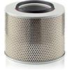 Mann Filter MANN-FILTER C 33 1015 - Filtro Aria