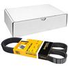 CONTITECH 6 PK 1249 ELAST Cinghie Trapeiz