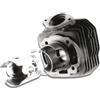 Malossi zylinderkit MALOSSI Sport 70 CCM per Honda dio ZX af35