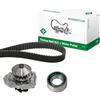 INA 530 0204 30 Kit cinghia distribuzione pompa acqua N° denti: 20 24 mm Compatibilità con FIAT PUNTO 176 PUNTO Cabriolet 176C PALIO Weekend 178DX PALIO 178BX, LANCIA Y 840A