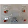 RMS KIT 4 GEMME FRECCE + VETRO FANALE POSTERIORE TRASPARENTI compatibile con YAMAHA BOOSTER SPIRIT 92-98 - 5 LAMPADINE IN OMAGGIO