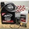 Custom Chrome Kit Tagliando RevTech High-Performance Garanzia Compatibile con HARLEY Olio Motore Olio Trasmissione/Primaria Candele Accel Filtro Omaggio Guarnizioni per Sportster dal 1984 a Oggi 883 1200...
