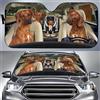 452 Parasole Per Parabrezza Anteriore Funny Ridgeback Dog Family Guida Amante Dei Cani Car Parabrezza Parasole Portabile Copri Parabrezza Per Auto Universale Per Estate Camion Suv