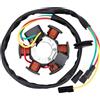 AHL Compatibile con filo bobina statore moto DT50 R European (solo modelli con motore AM6)/CH50 Racing