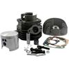 Malossi - Kit cilindro, 102ccm, per Vespa Ape, PK 50 XL1/XL2, PK/PK HP 50, Special 50
