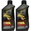 VIMANT Olio Motore 4T 10W-40, 2 Litri, 2x1L, 100% Sintetico, JASO MA/MA2, Per Motori a 4 Tempi, Moto e Scooter