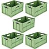 keeeper benno 5x contenitori pieghevoli professionali robusti con manici soft-touch, 45 l, Portata fino a 50 kg, Adatta per carrelli della spesa, 54 x 37 x 27,5 cm, Verde (Eco Grass Green)