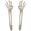 Beistle 2 pezzi 44,5 cm a tema spettrale scheletro in plastica paletti da cortile spaventosi decorazioni per Halloween, per festeggiare con te dal 1900, bianco/grigio