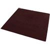Aexit 3.5' 'Trapezoidale in plastica a base di vernice per rimuovere la vernice Carta da parati Raschietto per stucco marrone ID: 796446