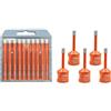 BGTEC Set di Punte Diamantate a Secco 10 punte da 6 mm e 5 punte con filettatura M14 da 6 mm per ceramica porcellana marmo granito